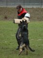Jméno souboru : 23.jpg
Velikost souboru : 87KB
Rozměry : 480x640
Datum přidání : Březen 28, 2008 23.jpg