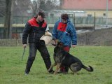 Jméno souboru : 28.jpg
Velikost souboru : 104KB
Rozměry : 640x480
Datum přidání : Březen 28, 2008 28.jpg