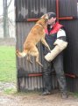 Jméno souboru : 29.jpg
Velikost souboru : 106KB
Rozměry : 479x640
Datum přidání : Březen 28, 2008 29.jpg