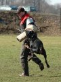 Jméno souboru : 33.jpg
Velikost souboru : 106KB
Rozměry : 480x640
Datum přidání : Březen 28, 2008 33.jpg