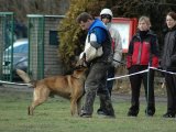 Jméno souboru : 41.jpg
Velikost souboru : 109KB
Rozměry : 640x480
Datum přidání : Březen 28, 2008 41.jpg