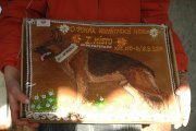 Jméno souboru : 49.jpg
Velikost souboru : 90KB
Rozměry : 640x426
Datum přidání : Březen 28, 2008 49.jpg