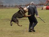 Jméno souboru : 38.jpg
Velikost souboru : 118KB
Rozměry : 800x600
Datum přidání : Březen 23, 2009 38.jpg