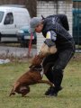 Jméno souboru : 42.jpg
Velikost souboru : 119KB
Rozměry : 600x800
Datum přidání : Březen 23, 2009 42.jpg