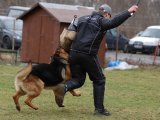 Jméno souboru : 43.jpg
Velikost souboru : 112KB
Rozměry : 800x600
Datum přidání : Březen 23, 2009 43.jpg