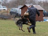 Jméno souboru : 44.jpg
Velikost souboru : 120KB
Rozměry : 800x600
Datum přidání : Březen 23, 2009 44.jpg