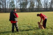 Jméno souboru : 10.jpg
Velikost souboru : 275KB
Rozměry : 902x600
Datum přidání : Listopad 15, 2009 10.jpg