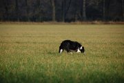 Jméno souboru : 13.jpg
Velikost souboru : 127KB
Rozměry : 902x600
Datum přidání : Listopad 15, 2009 13.jpg