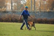 Jméno souboru : 19.jpg
Velikost souboru : 142KB
Rozměry : 902x600
Datum přidání : Listopad 15, 2009 19.jpg
