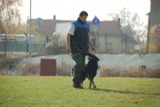 Jméno souboru : 25.jpg
Velikost souboru : 126KB
Rozměry : 902x600
Datum přidání : Listopad 15, 2009 25.jpg