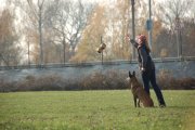 Jméno souboru : 26.jpg
Velikost souboru : 148KB
Rozměry : 902x600
Datum přidání : Listopad 15, 2009 26.jpg