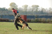 Jméno souboru : 37.jpg
Velikost souboru : 105KB
Rozměry : 902x600
Datum přidání : Listopad 15, 2009 37.jpg