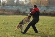Jméno souboru : 39.jpg
Velikost souboru : 141KB
Rozměry : 902x600
Datum přidání : Listopad 15, 2009 39.jpg