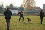 Jméno souboru : 42.jpg
Velikost souboru : 184KB
Rozměry : 902x600
Datum přidání : Listopad 15, 2009 42.jpg