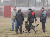 Jméno souboru : DSC_0080.jpg
Velikost souboru : 147KB
Rozměry : 800x594
Datum přidání : Březen 21, 2010 DSC_0080.jpg