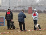Jméno souboru : DSC_0098.jpg
Velikost souboru : 169KB
Rozměry : 800x600
Datum přidání : Březen 21, 2010 DSC_0098.jpg