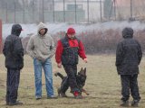 Jméno souboru : DSC_0140.jpg
Velikost souboru : 156KB
Rozměry : 800x600
Datum přidání : Březen 21, 2010 DSC_0140.jpg