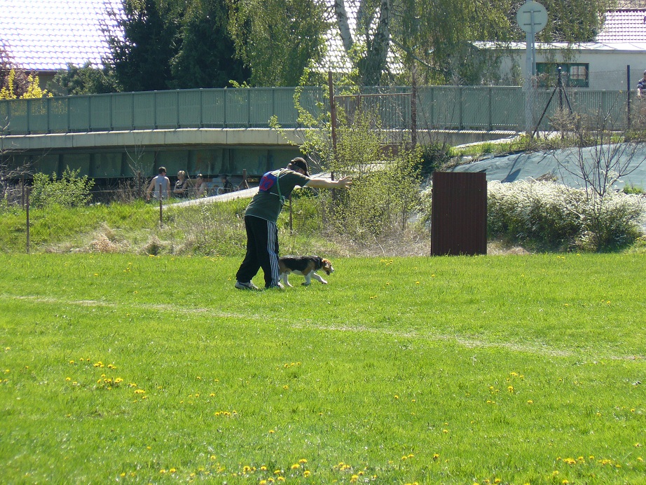 Klikněte pro zobrazení původního obrázku