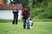 Filename=028.JPG
Filesize=519KB
Dimensions=1504x1000
Date added=May 24, 2016 028.JPG