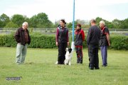 Filename=056.JPG
Filesize=615KB
Dimensions=1504x1000
Date added=May 24, 2016 056.JPG