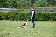 Filename=078.JPG
Filesize=699KB
Dimensions=1504x1000
Date added=May 24, 2016 078.JPG