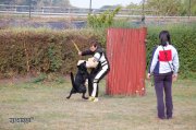 Jméno souboru : alyschag.JPG
Velikost souboru : 796KB
Rozměry : 1504x1000
Datum přidání : Říjen 02, 2016 alyschag.JPG