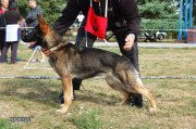 Jméno souboru : mendykk.JPG
Velikost souboru : 759KB
Rozměry : 1504x1000
Datum přidání : Říjen 02, 2016 mendykk.JPG