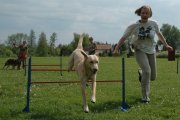Jméno souboru : 025.jpg
Velikost souboru : 172KB
Rozměry : 932x620
Datum přidání : Září 30, 2010 025.jpg