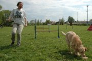 Jméno souboru : 026.jpg
Velikost souboru : 165KB
Rozměry : 902x600
Datum přidání : Září 30, 2010 026.jpg