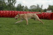 Jméno souboru : 039.jpg
Velikost souboru : 96KB
Rozměry : 800x532
Datum přidání : Září 30, 2010 039.jpg