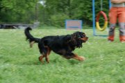 Jméno souboru : 041.jpg
Velikost souboru : 92KB
Rozměry : 800x532
Datum přidání : Září 30, 2010 041.jpg