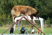 Jméno souboru : 35.jpg
Velikost souboru : 127KB
Rozměry : 640x427
Datum přidání : Prosinec 12, 2008 35.jpg