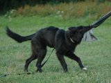 Jméno souboru : 27.jpg
Velikost souboru : 76KB
Rozměry : 640x480
Datum přidání : Srpen 03, 2008 27.jpg