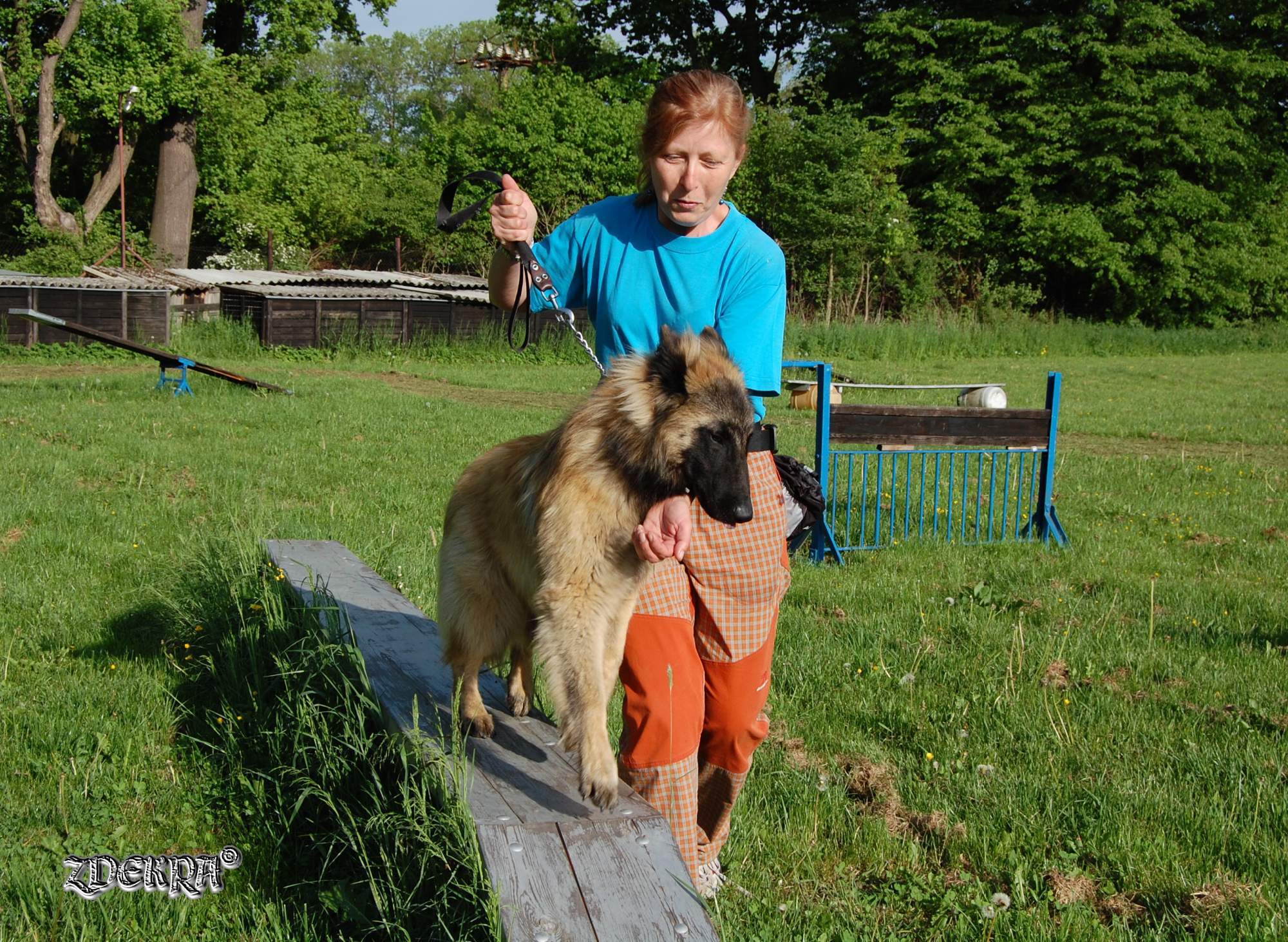 Klikněte pro zobrazení původního obrázku