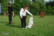 Jméno souboru : 036.jpg
Velikost souboru : 518KB
Rozměry : 2000x1330
Datum přidání : Červenec 13, 2015 036.jpg