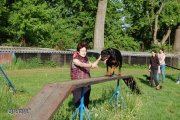 Jméno souboru : 063.jpg
Velikost souboru : 167KB
Rozměry : 900x598
Datum přidání : Červenec 13, 2015 063.jpg