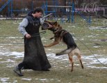 Jméno souboru : 28.jpg
Velikost souboru : 133KB
Rozměry : 640x498
Datum přidání : Únor 08, 2009 28.jpg