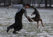 Jméno souboru : 32.jpg
Velikost souboru : 121KB
Rozměry : 640x449
Datum přidání : Únor 08, 2009 32.jpg