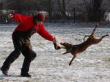 Jméno souboru : 53.jpg
Velikost souboru : 108KB
Rozměry : 640x480
Datum přidání : Březen 13, 2009 53.jpg