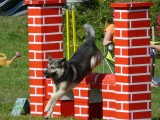 agility