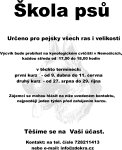 škola psů